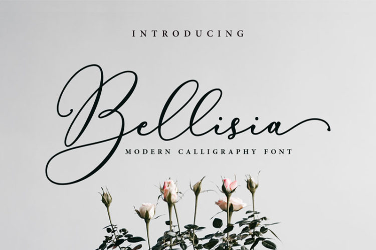 Bellisia Font | Best Modern calligraphy font